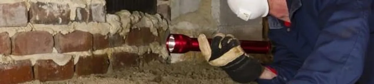 Pest control technician inspecting a crawl space for ant activity and entry points in Detroit, MI