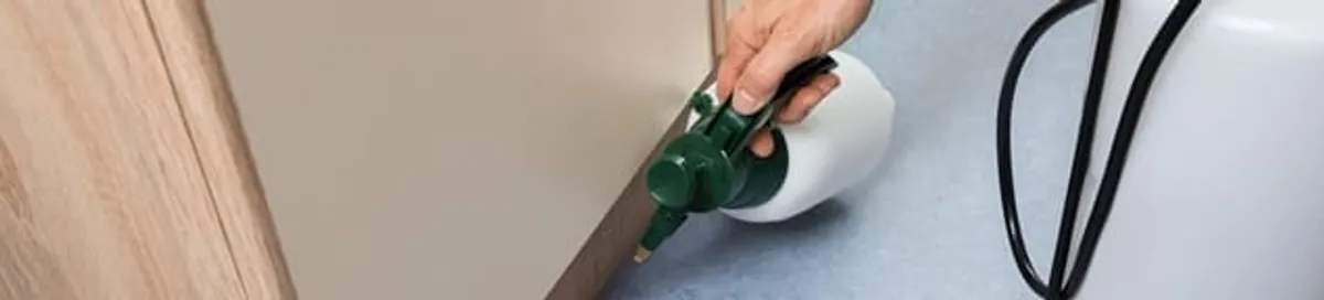 Bed bug exterminator treating baseboards and cracks with targeted spray in Detroit, MI