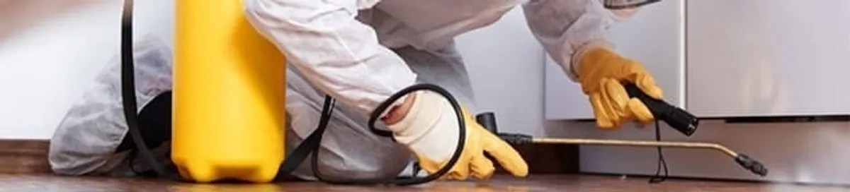 Roach exterminator treating cracks and crevices along kitchen baseboards in Detroit, MI