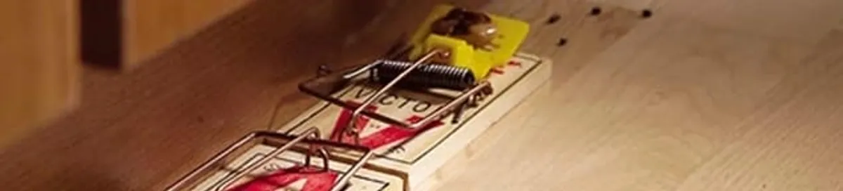 Rodent trap set indoors for rodent control and prevention in Detroit, MI